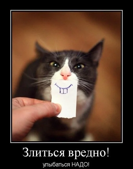 1355591299_veselye-demotivatory-60.webp