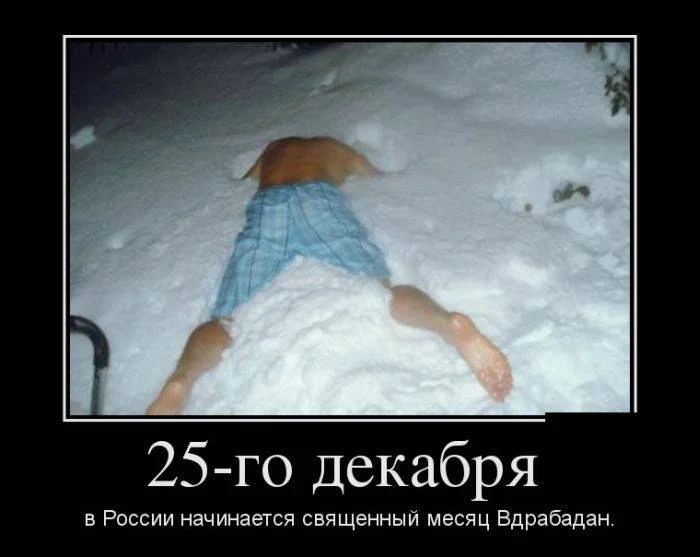 1355986731_10.webp