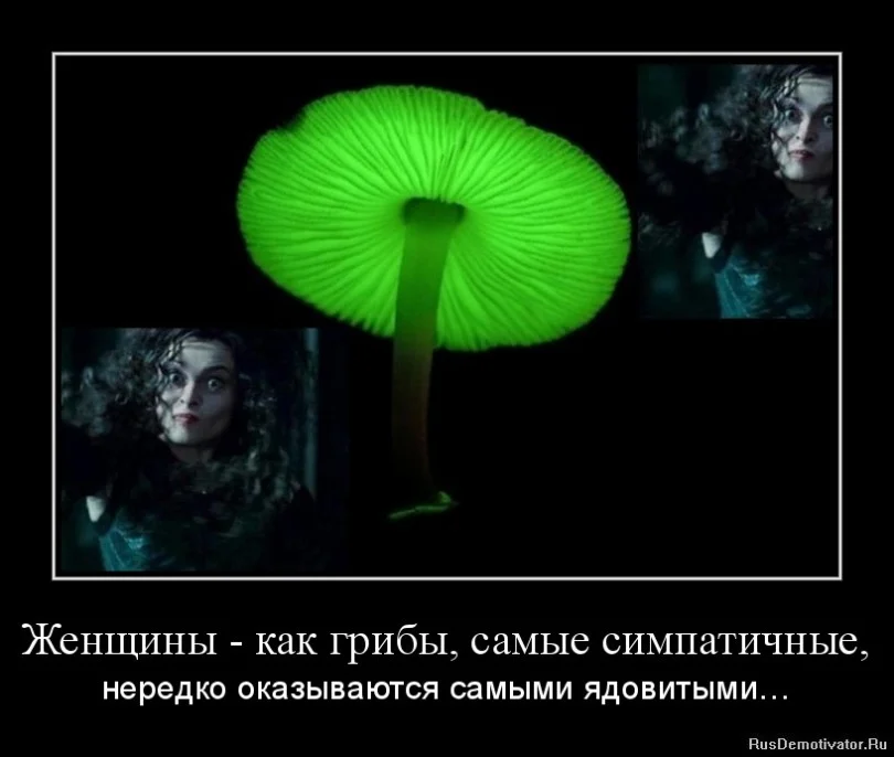 1358541729-zhenshhiny-kak-griby-samye-simpatichnye-810x686.webp