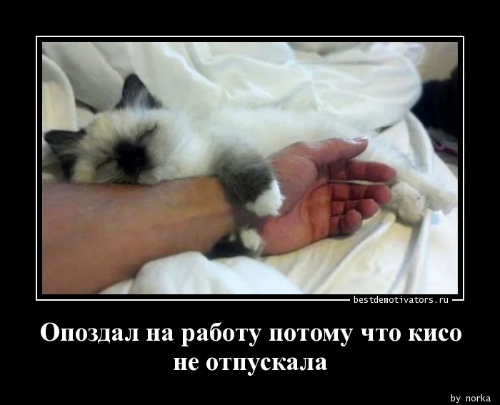 1362164253_Opozdal-na-rabotu-po_bestdemotivators.ru.webp