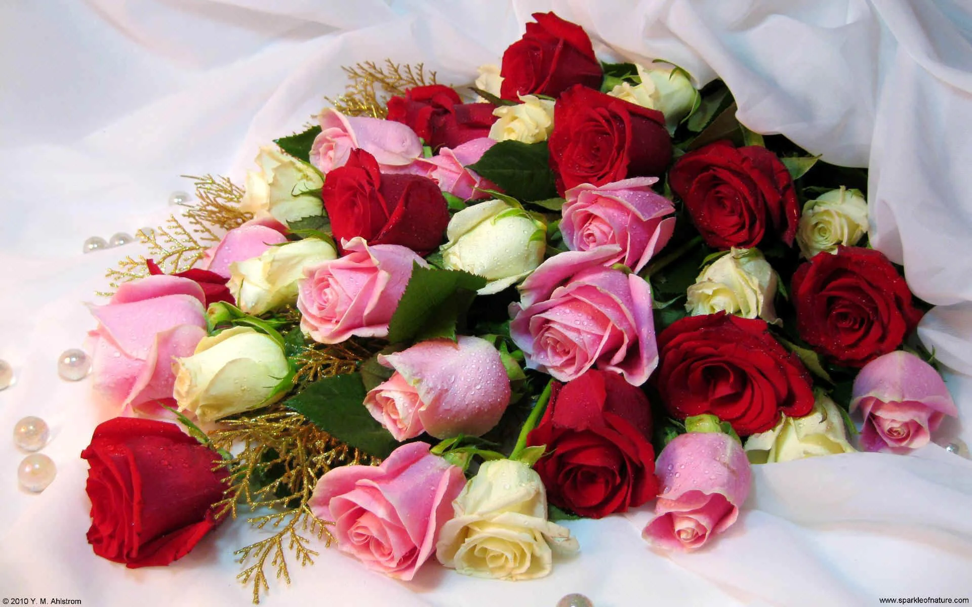 13625_rose_bouquet_w_1920x1200.webp