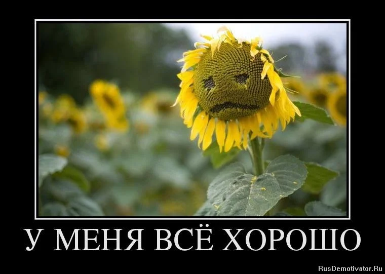 1366192430_3713977_u-menya-vsyo-horosho.webp