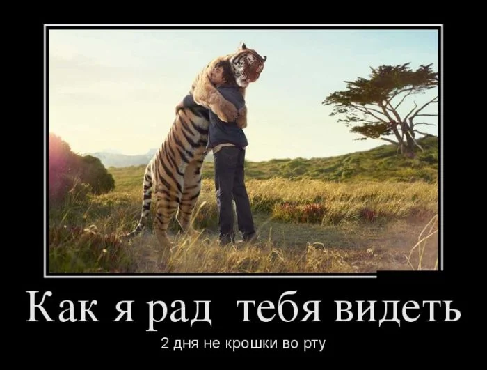 1367201828_1366181933_zabavnyy-demotivator-4.webp