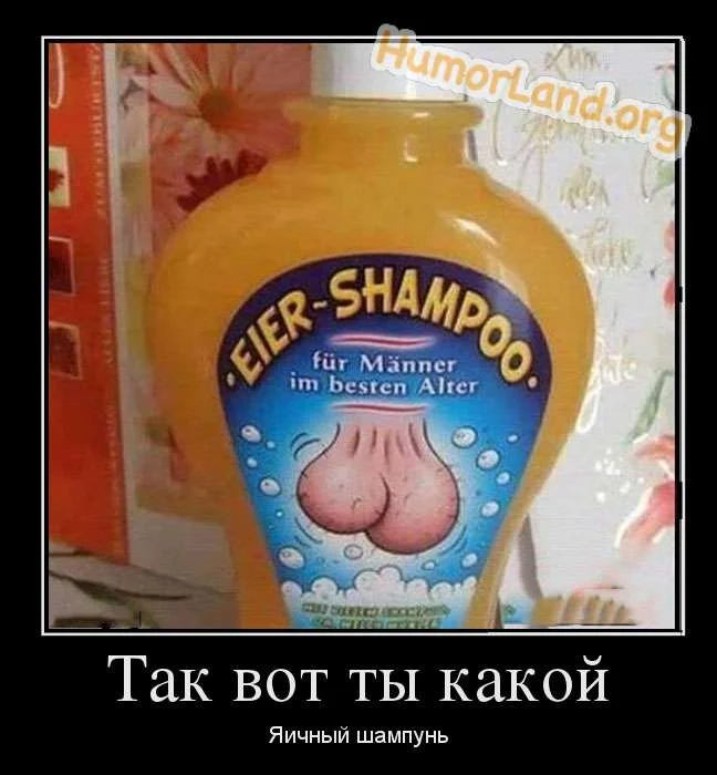1367906938_prikolnie_kartinki_jaichnij_shampun.webp