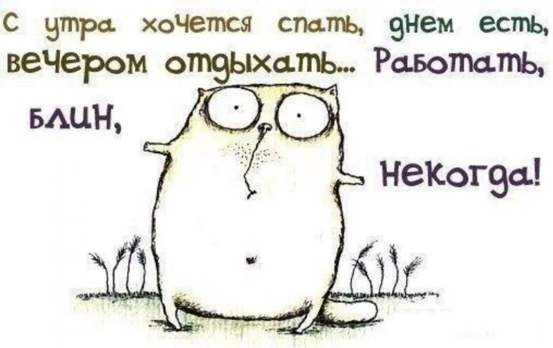 1368991252_frazki-22.webp