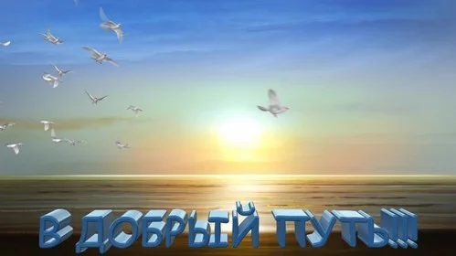 1369925261_ztasbhckbp4in50.webp