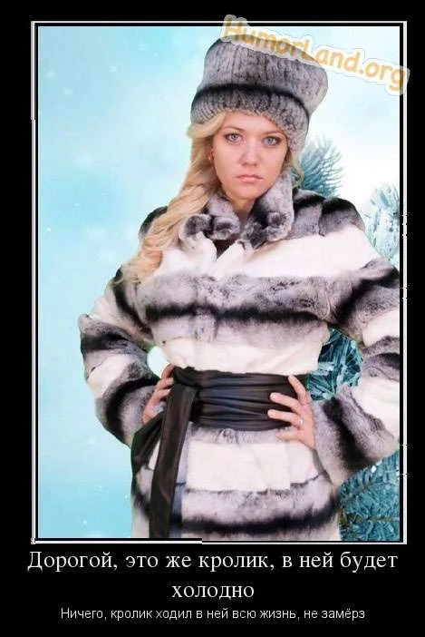 1369985096_prikolnie_kartinki_krolik_ne_zamerz.webp