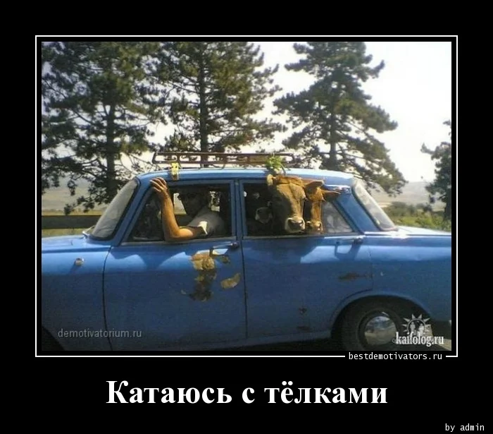 1370864434_Katayus-s-telkami_bestdemotivators.ru.webp