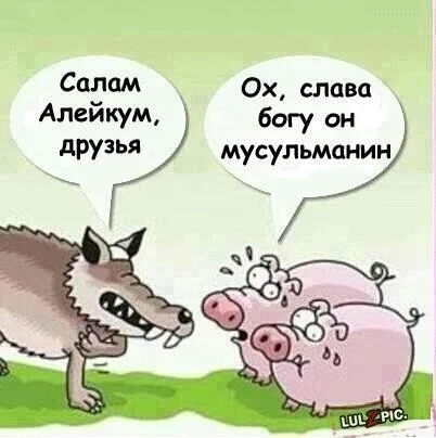 1371590011_eIXelVlZJ9U.webp
