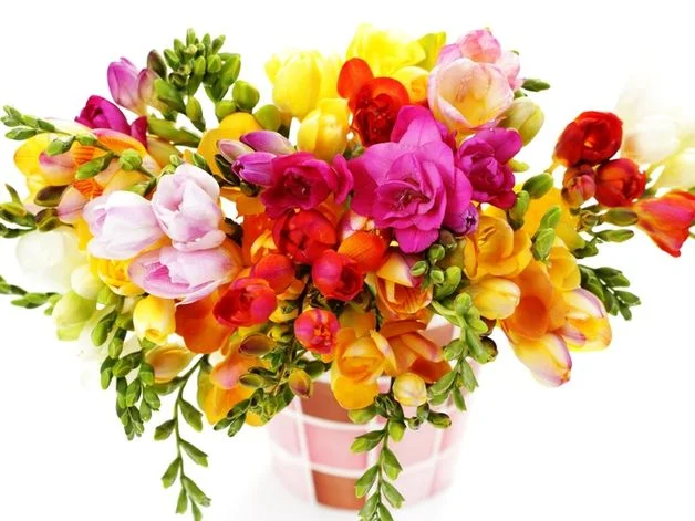 137174_shutterstock_71228215.webp