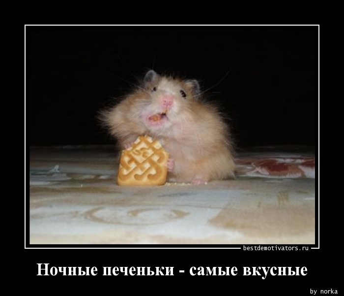 1372049466_Nochnye-pechenki-sam_bestdemotivators.ru.jpg