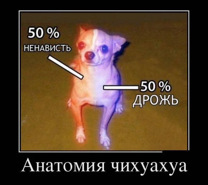 1372312010_01.webp