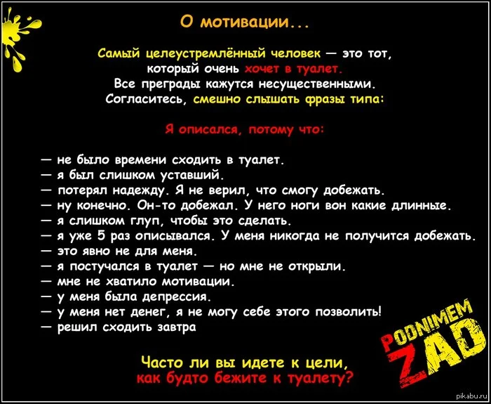 1377173296_1434238732.webp
