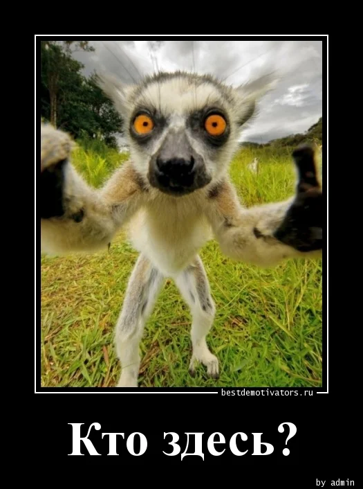 1379066036_Kto-zdes_bestdemotivators.ru.webp