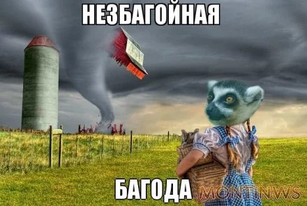 1379229982_bkloytdbosc.webp
