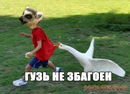 1379229991_jt5tzwzstk4.webp