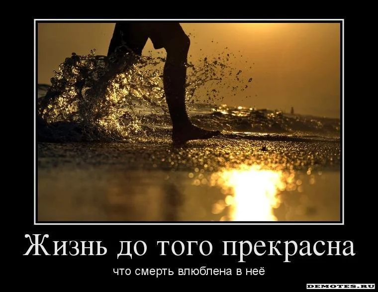 1379423717_1zhizn-do-togo-prekrasna.webp