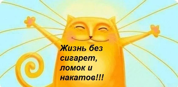 1388.webp
