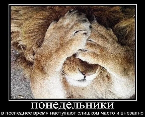 1391424140.webp