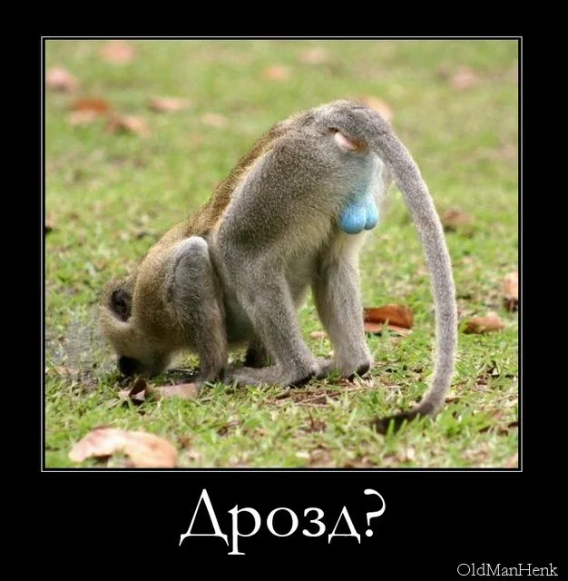 1391966021392 (1).webp