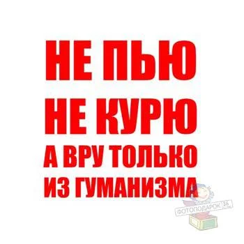 1394.webp