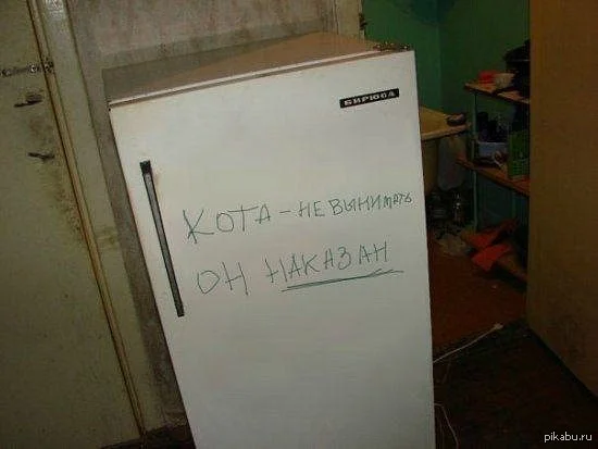 1394430908_1855387970.webp