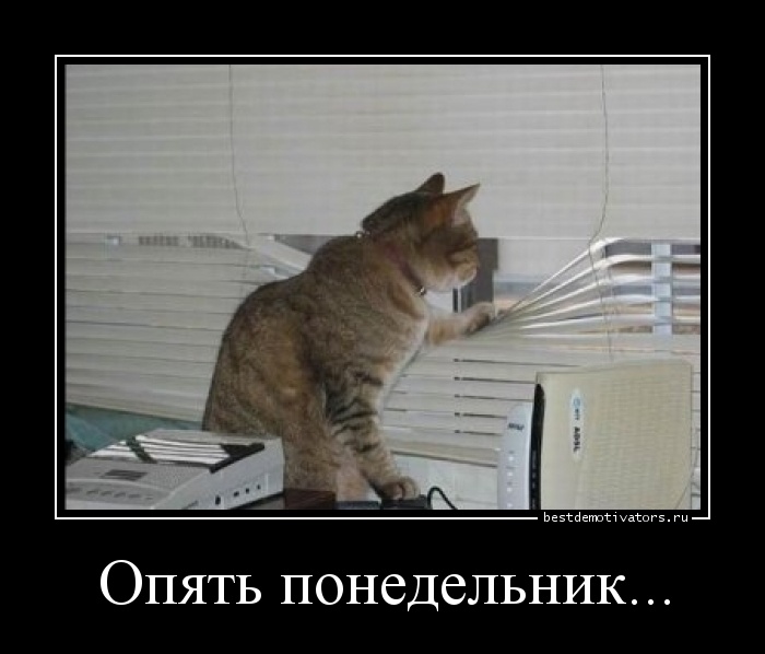 1398059479_Opyat-ponedelnik._bestdemotivators.ru.jpg