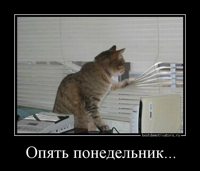 1398059479_Opyat-ponedelnik._bestdemotivators.ru.webp