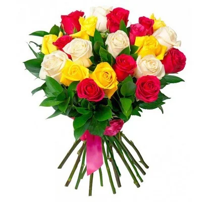 13_8129.jpg.pagespeed.ce.ceZ7q3UFcb.webp