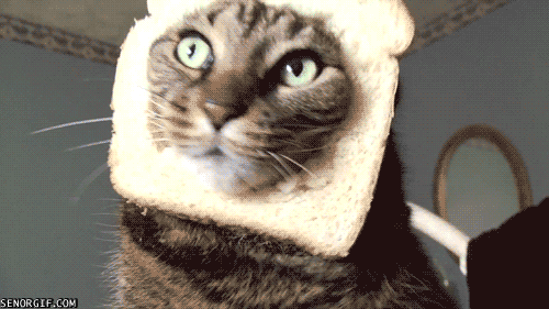 13C093E4-FA9D-4AA4-83C8-469D0247FB2D.gif
