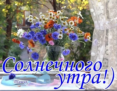 13O7gIL8Ldc.webp