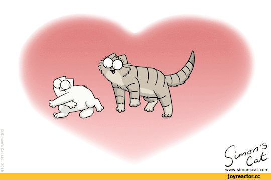 14-февраля-simon's-cat-гифки-2858156.gif