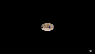14.gif