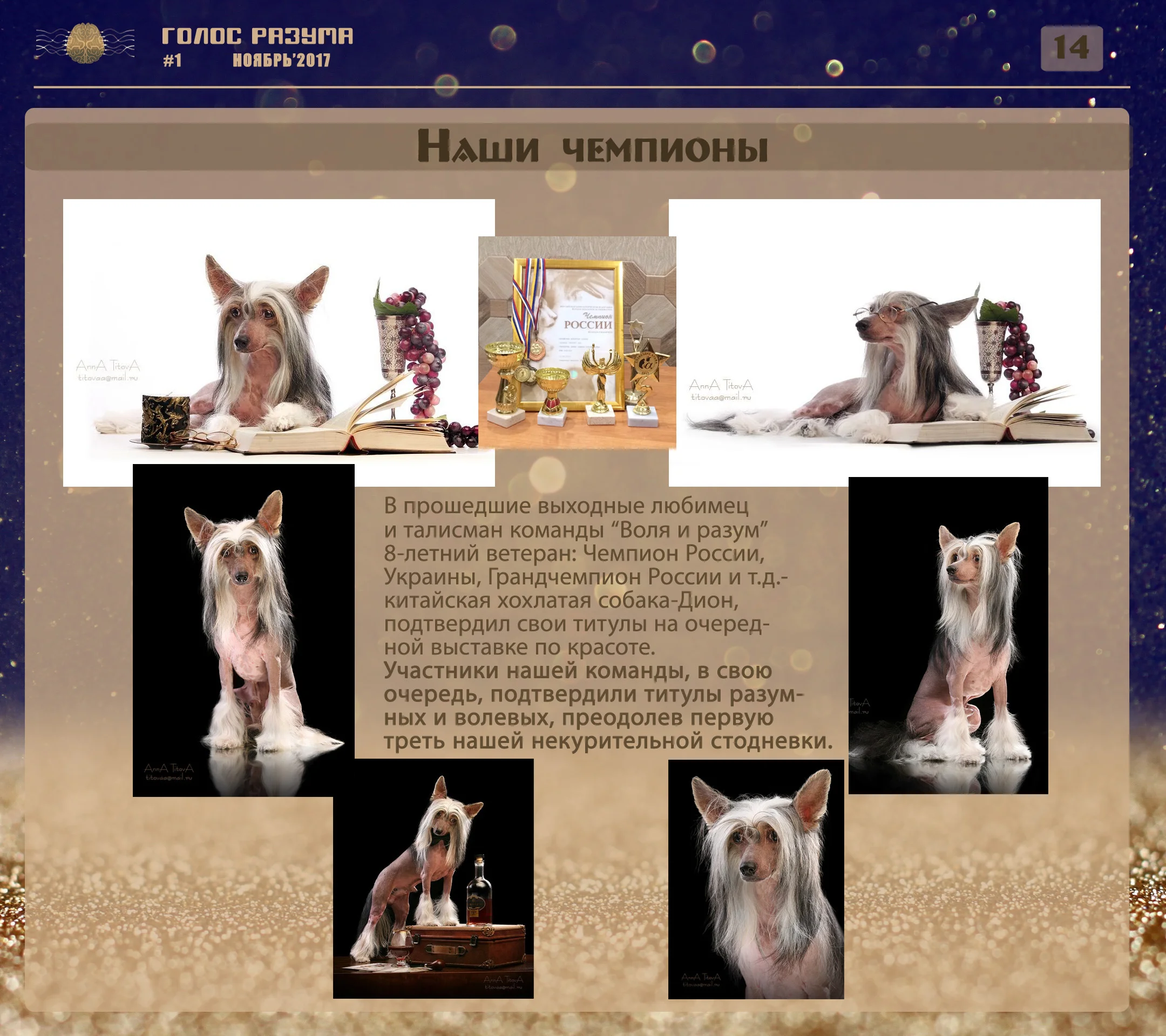 14 - Наши чемпионы copy.webp