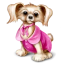 14.webp
