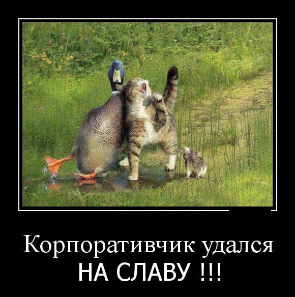 1403530644_hohotok.net_0_2 корпоратив.webp