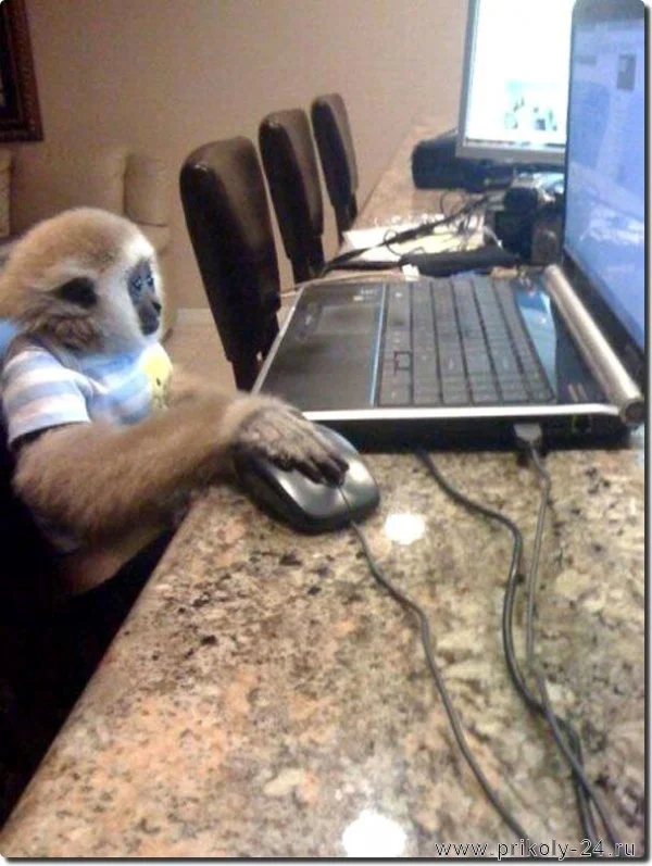 1404589625_computer.webp