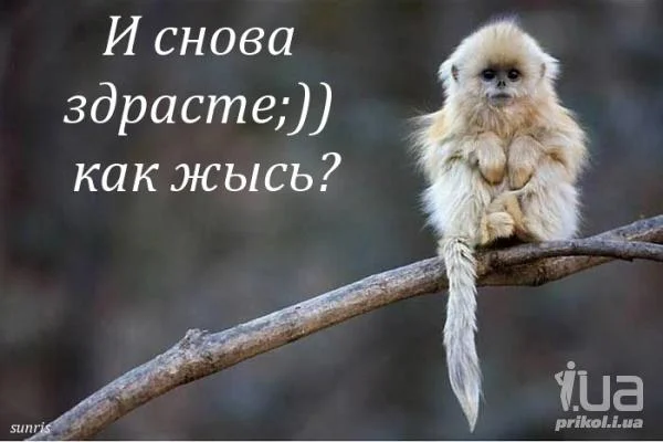 1414357677_46f57601c8cd47127ebd4c3869b243091.webp
