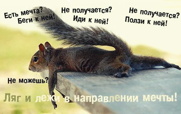 1416551207_0_f178f_69e867f2_orig.webp