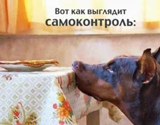 1416551567_kart.webp