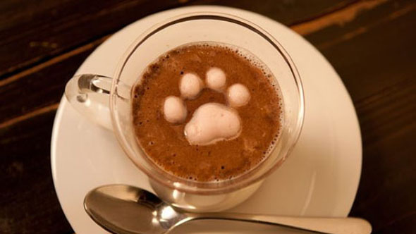 1420307578_marshmallow-latte-art-kitty-4.jpeg