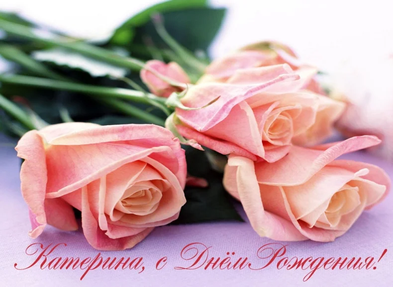 1423.webp