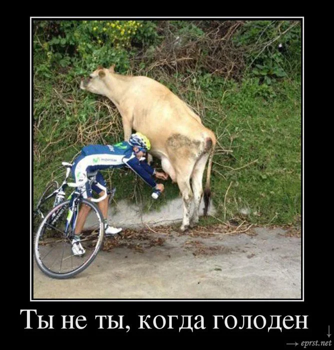 1424021052_0.webp