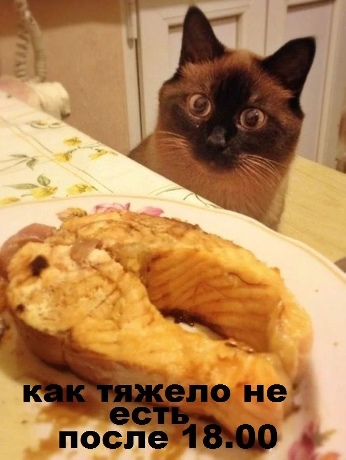 1426457512_10.webp