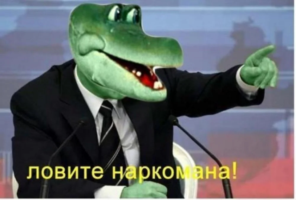 14320153537507.webp