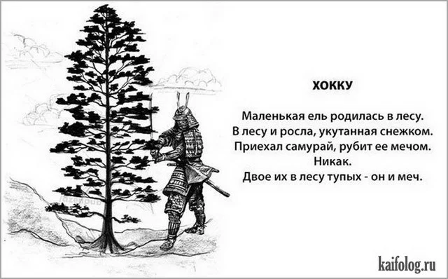1441617872_021.webp
