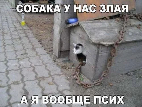 1441618601_kartinki-8.webp