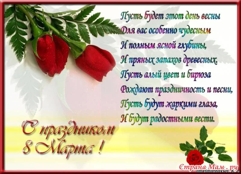144369_92504.webp
