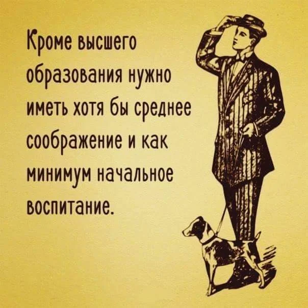 14462758_1348095375221428_2762552014480472872_n.webp