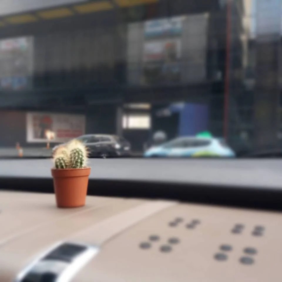 14479606_1137251462979073_8152231076651112686_n (1).webp